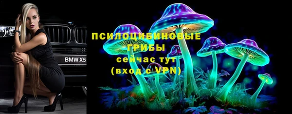 прущие грибы Вязники